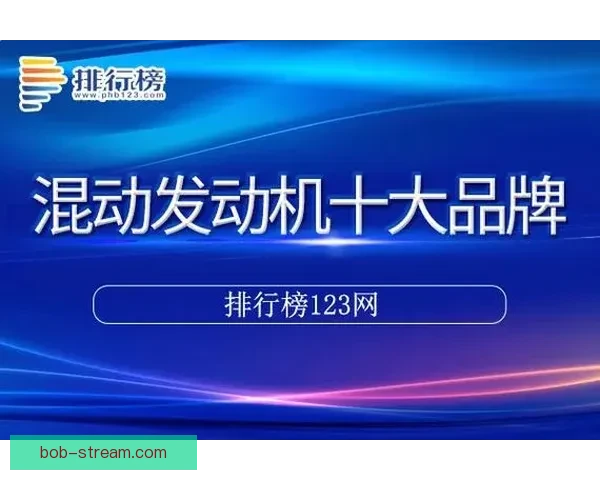 BOB体育平台登录入口最新指南详解与安全操作教程